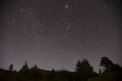 DSC_1107 (Large).JPG